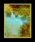 a quiet pond thumbnail